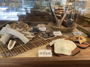 DailyHealth Chinese Medicine Shop