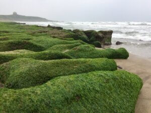 Laomei Green Reef