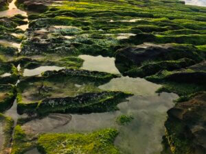 Laomei Green Reef