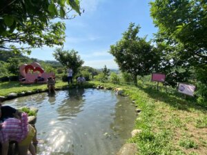 Doris Forest Leisure Farm