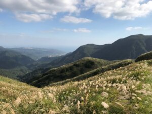 Yangmingshan Chinese Silver Grass Season