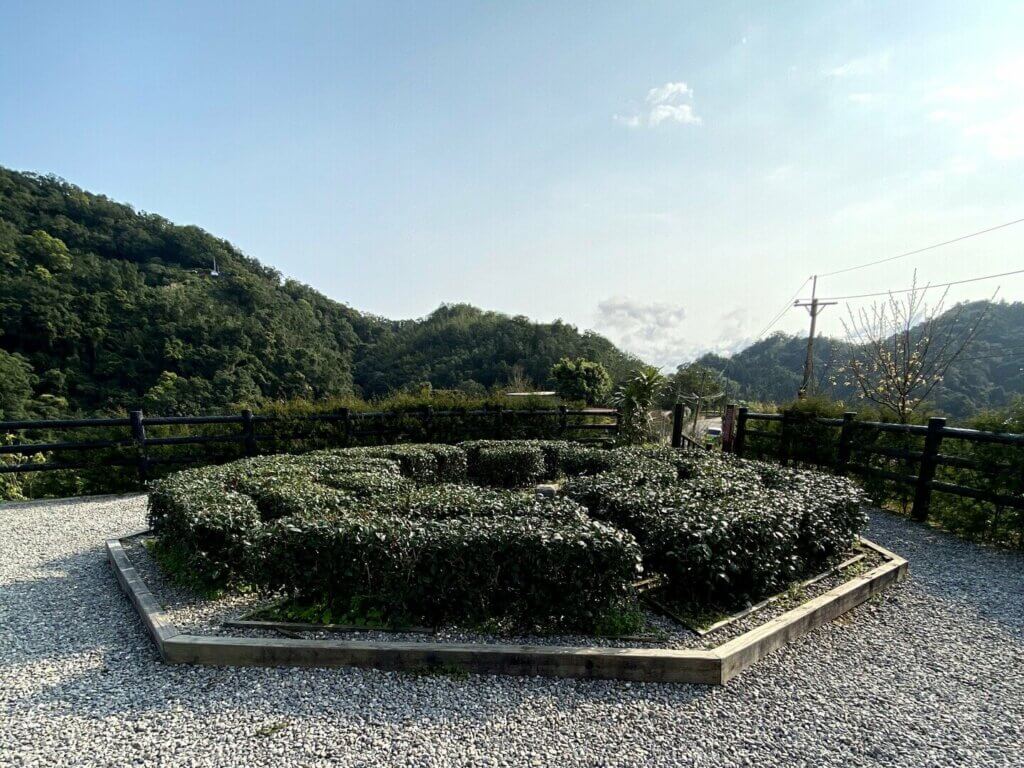 Pinglin Tea Plantation